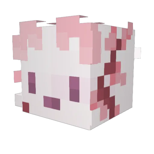 Cratybruh Minecraft avatar head, 3D render