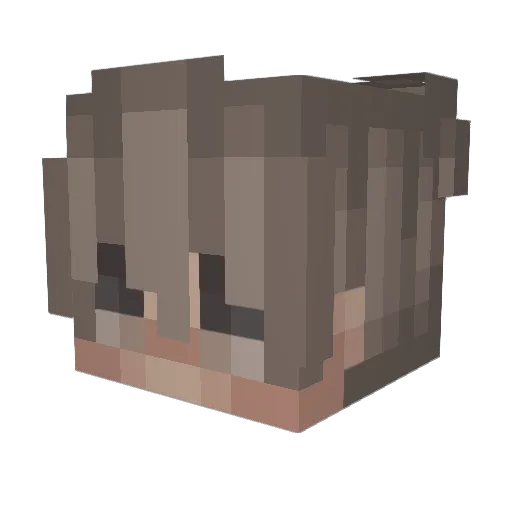 CravenMuffin144 Minecraft avatar head, 3D render