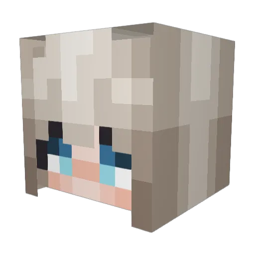 Crawling_Telos99 Minecraft avatar head, 3D render