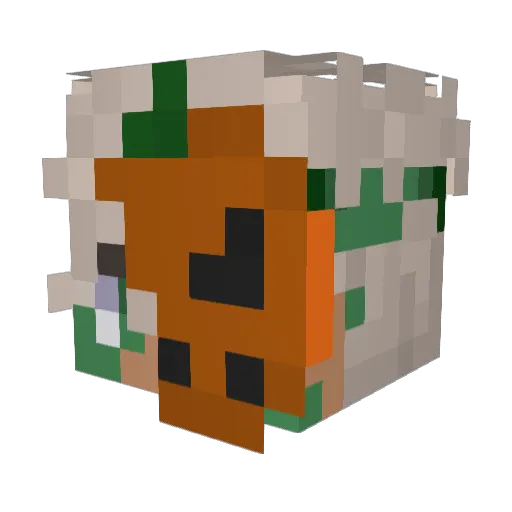 CraxoTheBold Minecraft avatar head, 3D render