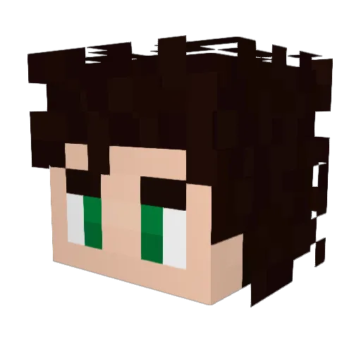 CrayPlayz Minecraft avatar head, 3D render