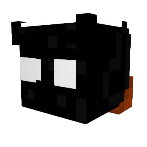 Crayden34 Minecraft avatar head, 3D render