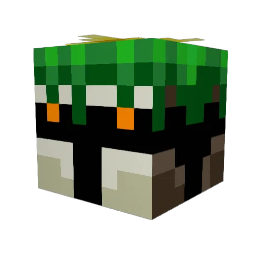Crayn Minecraft avatar head, 3D render