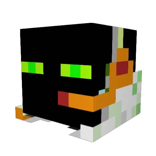 CrazYPen07 Minecraft avatar head, 3D render