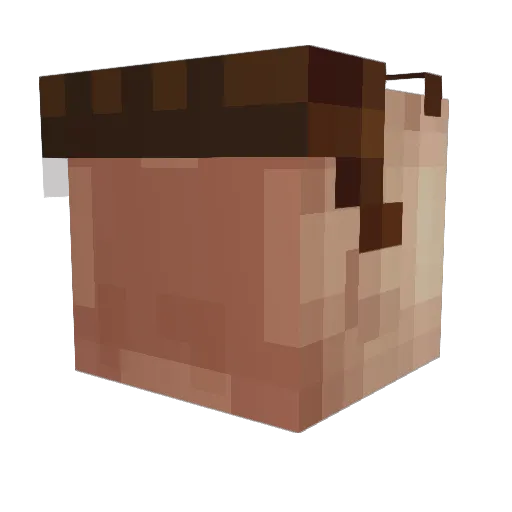 CraziestSin Minecraft avatar head, 3D render