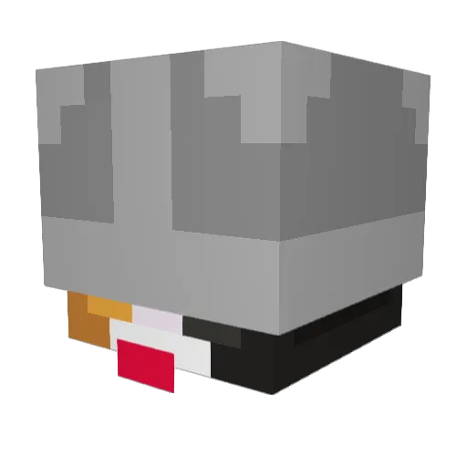 CraziestTulip Minecraft avatar head, 3D render