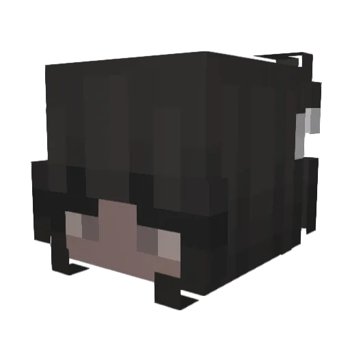 Crazinator Minecraft avatar head, 3D render