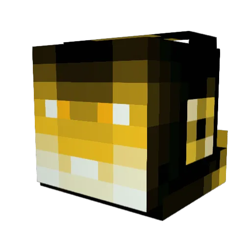 Crazy4Coins Minecraft avatar head, 3D render