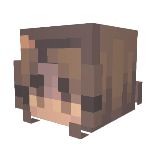 CrazyAlex1234 Minecraft avatar head, 3D render