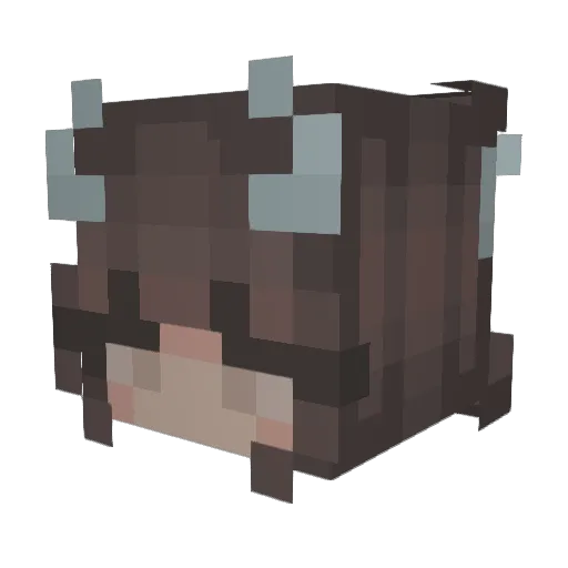 CrazyAlyssa13 Minecraft avatar head, 3D render