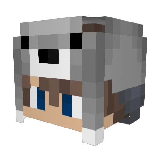 CrazyBaconGamer Minecraft avatar head, 3D render