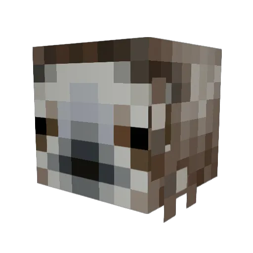 CrazyBookLady Minecraft avatar head, 3D render