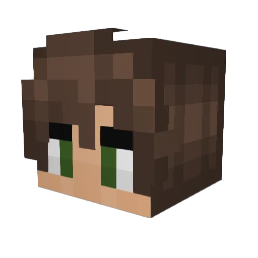 CrazyBoy02 Minecraft avatar head, 3D render