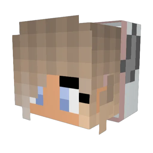 CrazyBumble Minecraft avatar head, 3D render