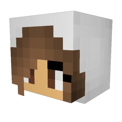 CrazyBunny14 Minecraft avatar head, 3D render