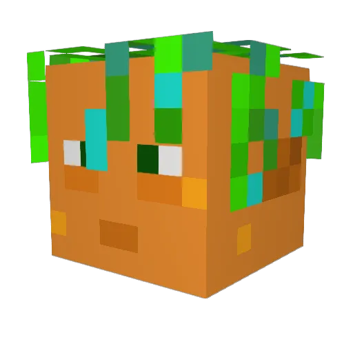 CrazyCarrot223 Minecraft avatar head, 3D render