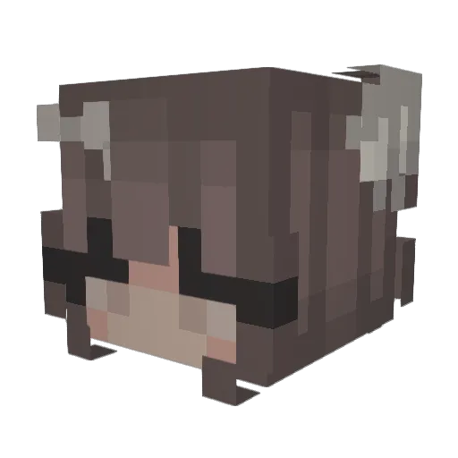 CrazyCatHooper Minecraft avatar head, 3D render