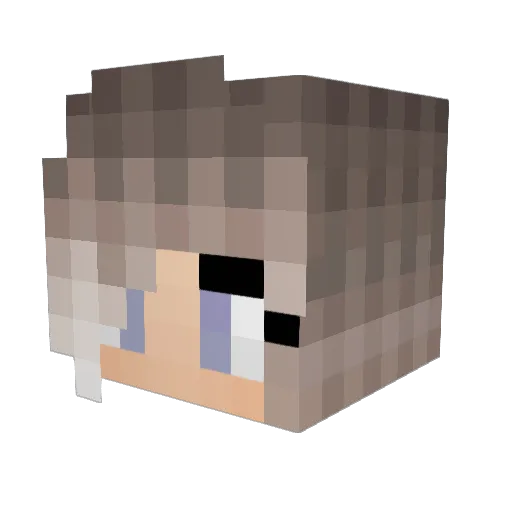 CrazyCatLover7 Minecraft avatar head, 3D render