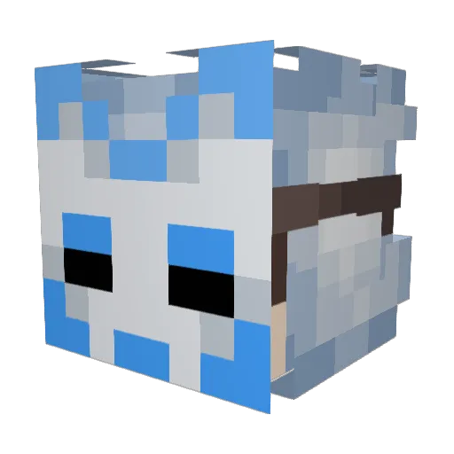 CrazyCatman03 Minecraft avatar head, 3D render