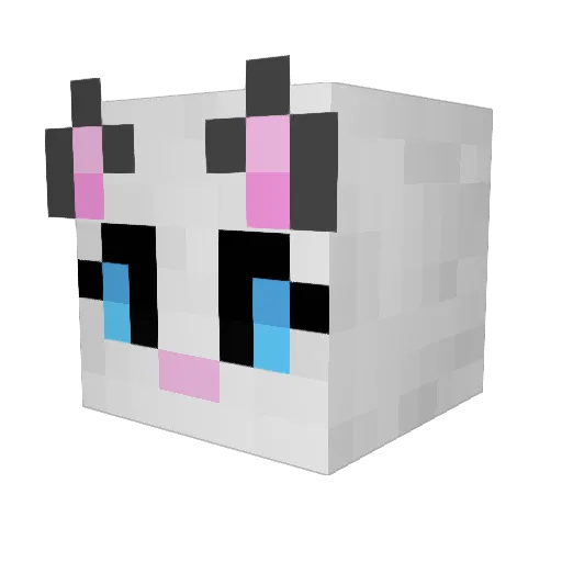 CrazyCatz7 Minecraft avatar head, 3D render