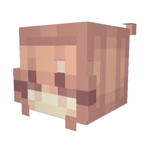 CrazyChicken08 Minecraft avatar head, 3D render