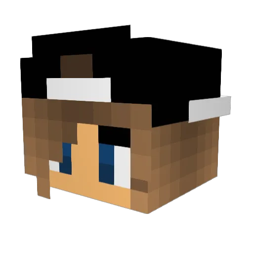 CrazyCreeper429 Minecraft avatar head, 3D render
