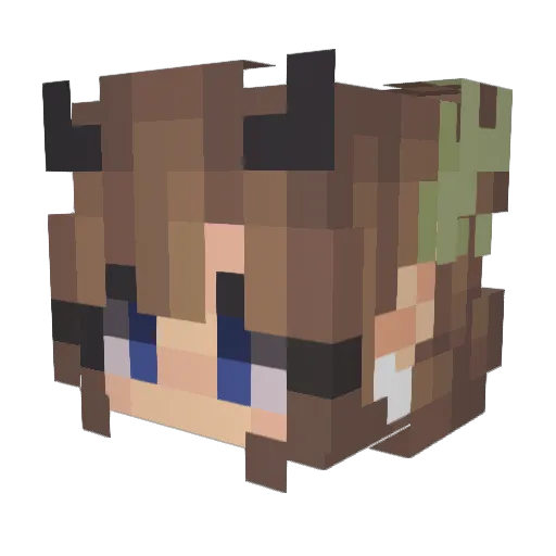 CrazyDaisy711 Minecraft avatar head, 3D render