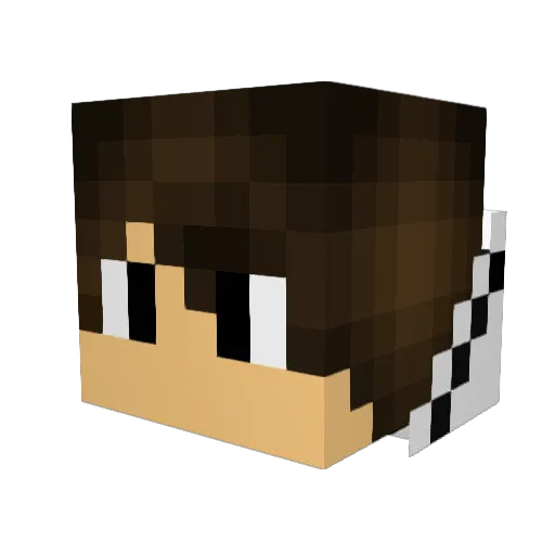 CrazyDonkey2000 Minecraft avatar head, 3D render