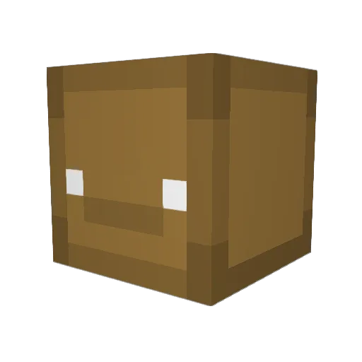 CrazyDulfin Minecraft avatar head, 3D render