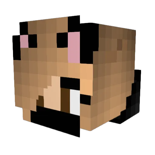 CrazyEmi Minecraft avatar head, 3D render