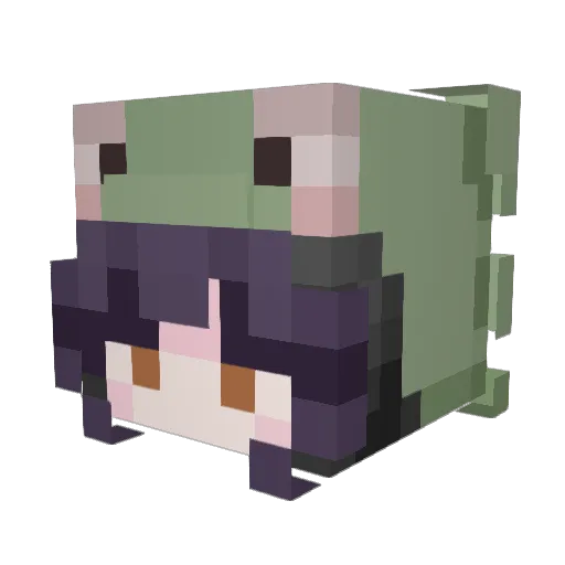 CrazyFr0g05 Minecraft avatar head, 3D render
