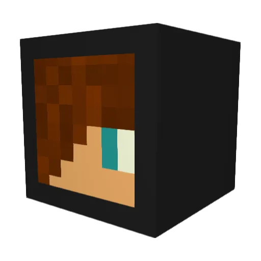 CrazyHead884 Minecraft avatar head, 3D render