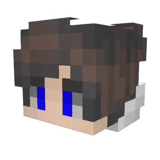 CrazyHero_ Minecraft avatar head, 3D render