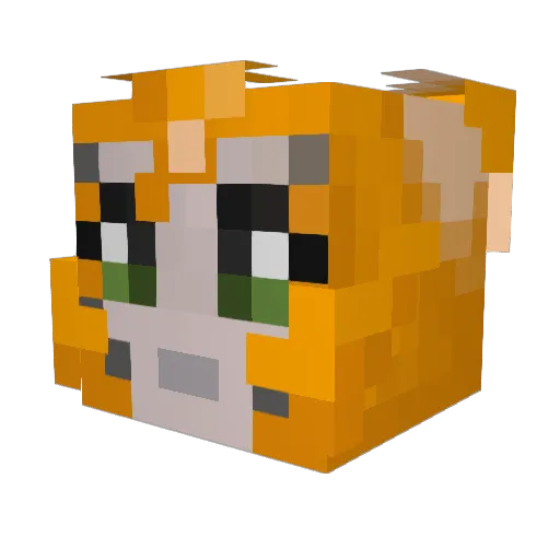 CrazyJp25 Minecraft avatar head, 3D render