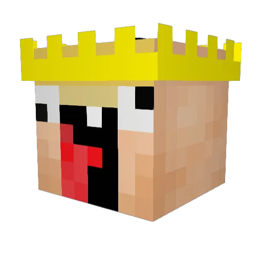 CrazyKing205 Minecraft avatar head, 3D render
