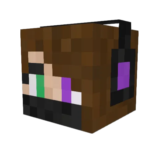 CrazyLady2505 Minecraft avatar head, 3D render
