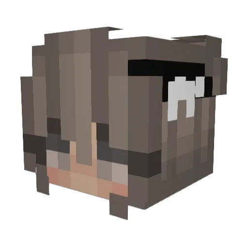 CrazyLazy143 Minecraft avatar head, 3D render