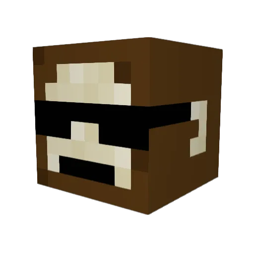 CrazyMonk1167 Minecraft avatar head, 3D render