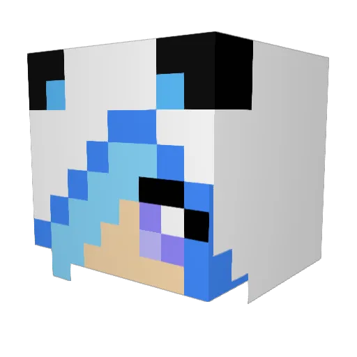 CrazyMonkey400 Minecraft avatar head, 3D render