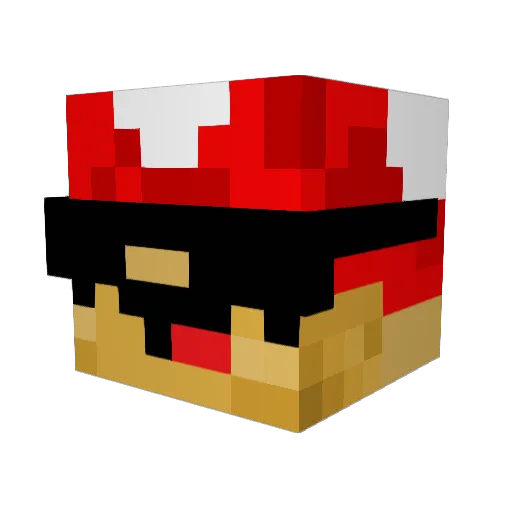 CrazyMushRoom Minecraft avatar head, 3D render