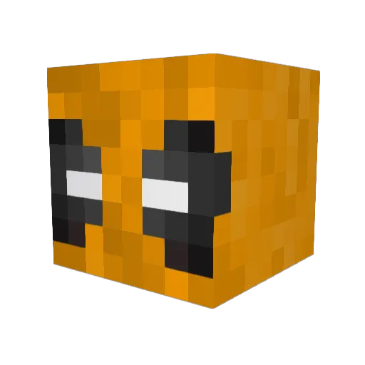CrazyNick11 Minecraft avatar head, 3D render