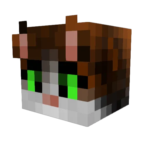 CrazyPanda0525 Minecraft avatar head, 3D render