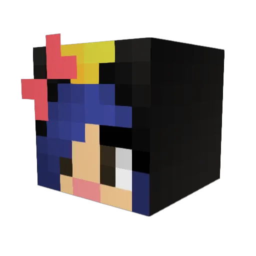 CrazyPenguin_95 Minecraft avatar head, 3D render