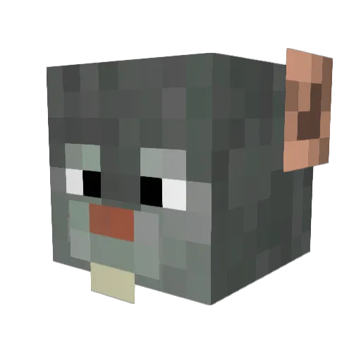 CrazyRat_ Minecraft avatar head, 3D render