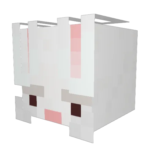 CrazySleep_ Minecraft avatar head, 3D render