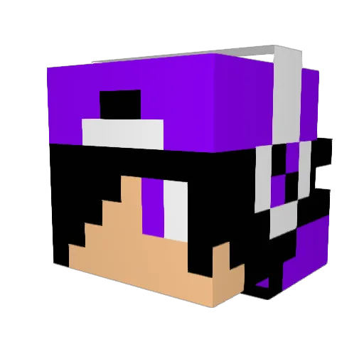 CrazySnowdog Minecraft avatar head, 3D render