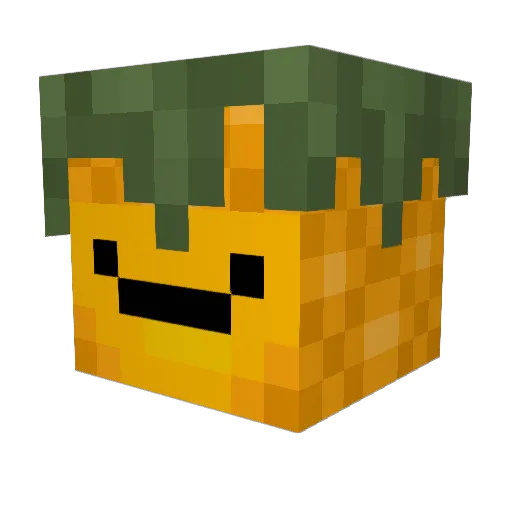 CrazyTigerGirl Minecraft avatar head, 3D render