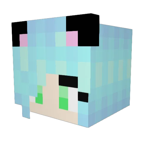 CrazyTrinity Minecraft avatar head, 3D render