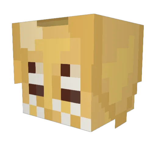 CrazyWillster Minecraft avatar head, 3D render