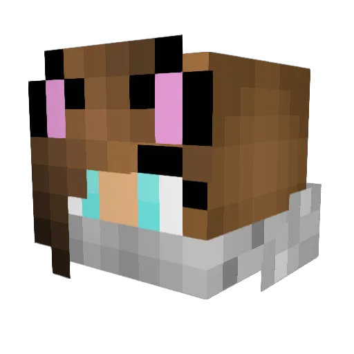 CrazyXenia Minecraft avatar head, 3D render
